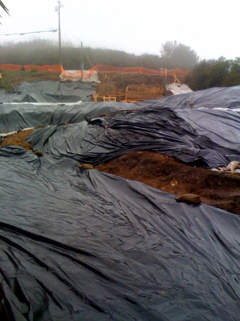 Looking up at lot in plastic